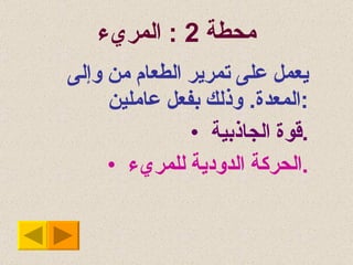 محطة  2 :  المريء يعمل على تمرير الطعام من وإلى المعدة .  وذلك بفعل عاملين : قوة الجاذبية . الحركة الدودية للمريء . 