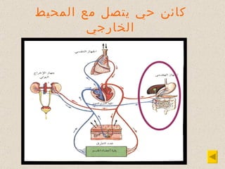 كائن حي يتصل مع المحيط الخارجي 