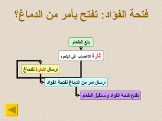 فتحة الفؤاد :  تفتح بأمر من الدماغ؟ بلع الطعام إ ثار ة  الاعصاب  في البلعوم ارسال  اشارة  للدماغ ارسال امر من الدماغ  لفتحة  الفؤاد تفتح  فتحة  الفؤاد وتستقبل الطعام 