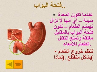 فتحة البواب  .. عندما تكون المعدة مليئة – أي أنها لا تزال تهضم الطعام – تكون فتحة البواب بالمقابل مغلقة وتمنع انتقال الطعام للامعاء .   تنظم خروج الطعام بشكل متقطع  .( لماذا ) 