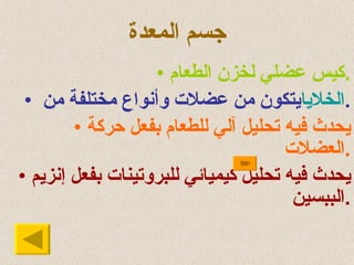 جسم المعدة كيس عضلي لخزن الطعام . يتكون من عضلات وأنواع مختلفة من  الخلايا . يحدث فيه تحليل آلي للطعام بفعل حركة العضلات . يحدث فيه تحليل كيميائي للبروتينات بفعل إنزيم الببسين . 