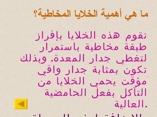 ما هي أهمية الخلايا المخاطية؟ تقوم هذه الخلايا بإفراز طبقة مخاطية باستمرار لتغطي جدار المعدة .  وبذلك تكون بمثابة جدار واقي مؤقت يحمي الخلايا من التآكل بفعل الحامضية العالية . بالاضافة لهذه الوسيلة الدفاعية، تقوم المعدة بتجديد خلاياها باستمرار . 