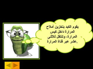 يقوم الكبد بتخزين  أ ملاح المرارة داخل كيس المرارة ،  وتنتقل للاثنى عشر   عبر قناة المرارة . 