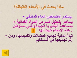 ماذا يحدث في الأمعاء الغليظة؟ يستمر امتصاص الماء المتبقي . يساهم  بتحليل قسم من المواد الغذائية بمساعدة البكتيريا الجيدة والتي تستوطن هذه الامعاء كبيت لها .  تبدأ عملية تجميع الفضلات وتكديسها، ومن ثم تجميعها في المستقيم . 