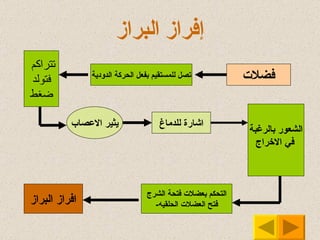 إفراز البراز فضلات تصل للمستقيم بفعل الحركة  الدودية تتراكم  فتولد ضغط يثير الاعصاب اشارة للدماغ الشعور  بالرغبة في الاخراج   التحكم بعضلات  فتحة  الشرج - فتح العضلات الحلقيه افراز البراز 