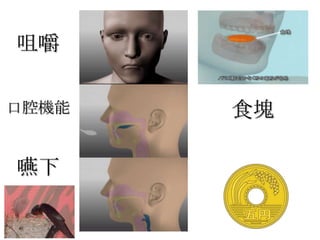 咀嚼

口腔機能   食塊

嚥下
 