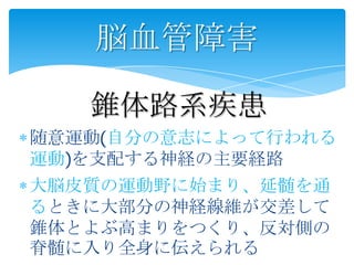脳血管障害

   錐体路系疾患
随意運動(自分の意志によって行われる
運動)を支配する神経の主要経路
大脳皮質の運動野に始まり、延髄を通
るときに大部分の神経線維が交差して
錐体とよぶ高まりをつくり、反対側の
脊髄に入り全身に伝えられる
 