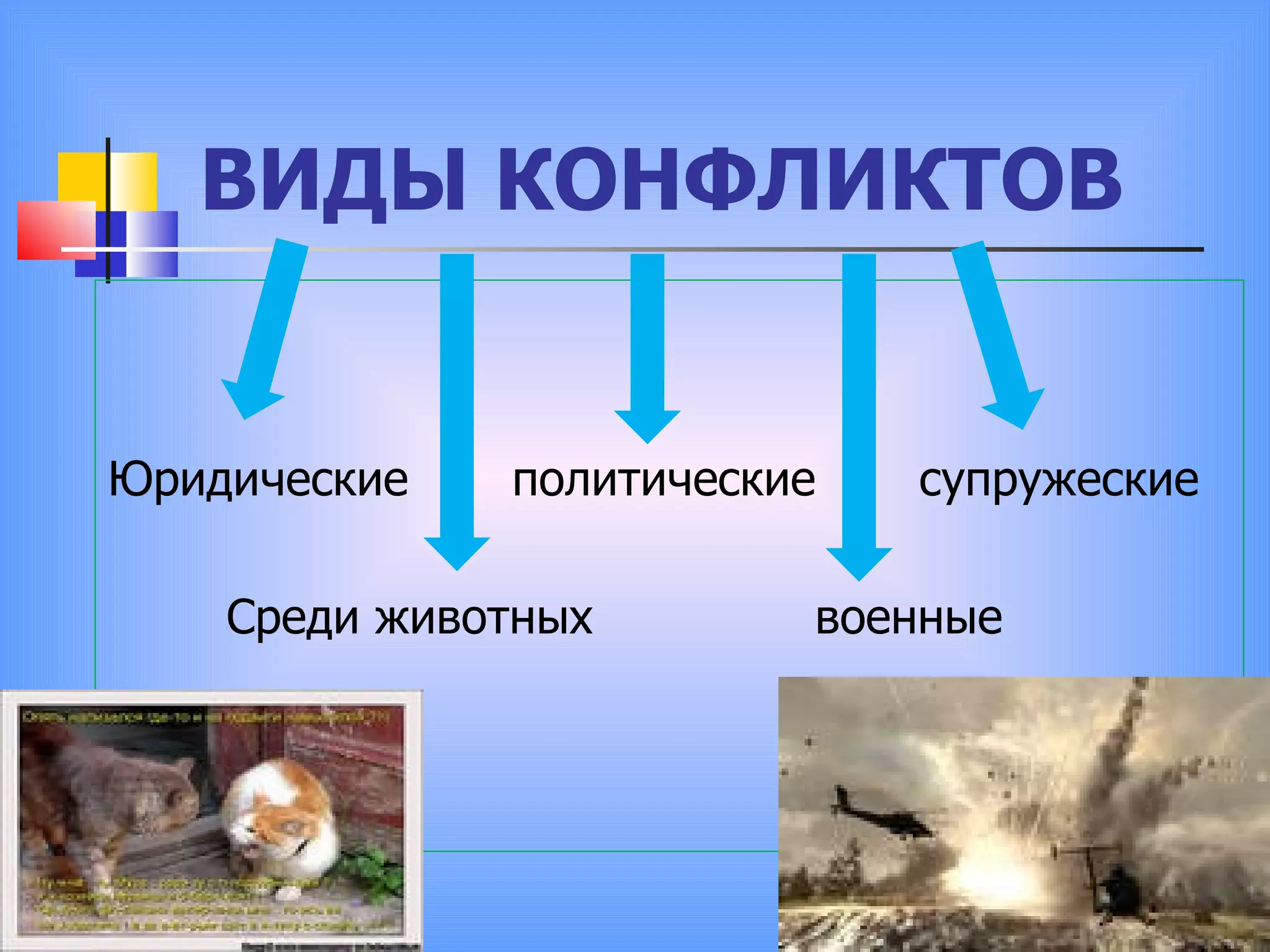 ВИДЫ КОНФЛИКТОВ Юридические  политические  супружеские Среди животных  военные 