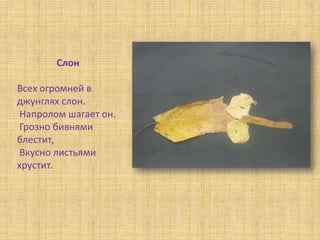 Слон

Всех огромней в
джунглях слон.
 Напролом шагает он.
 Грозно бивнями
блестит,
 Вкусно листьями
хрустит.
 