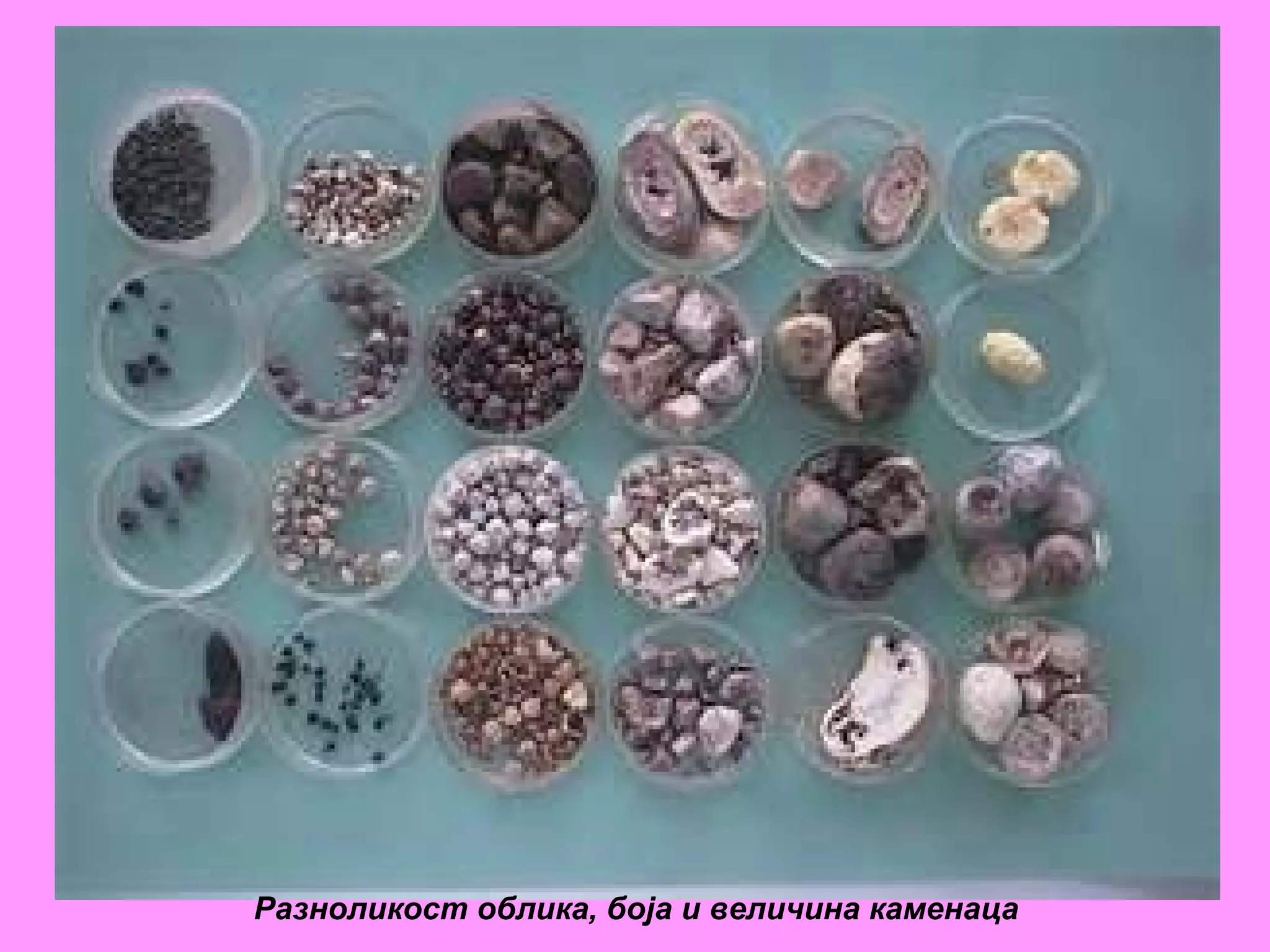 Разноликост облика, боја и величина каменаца   