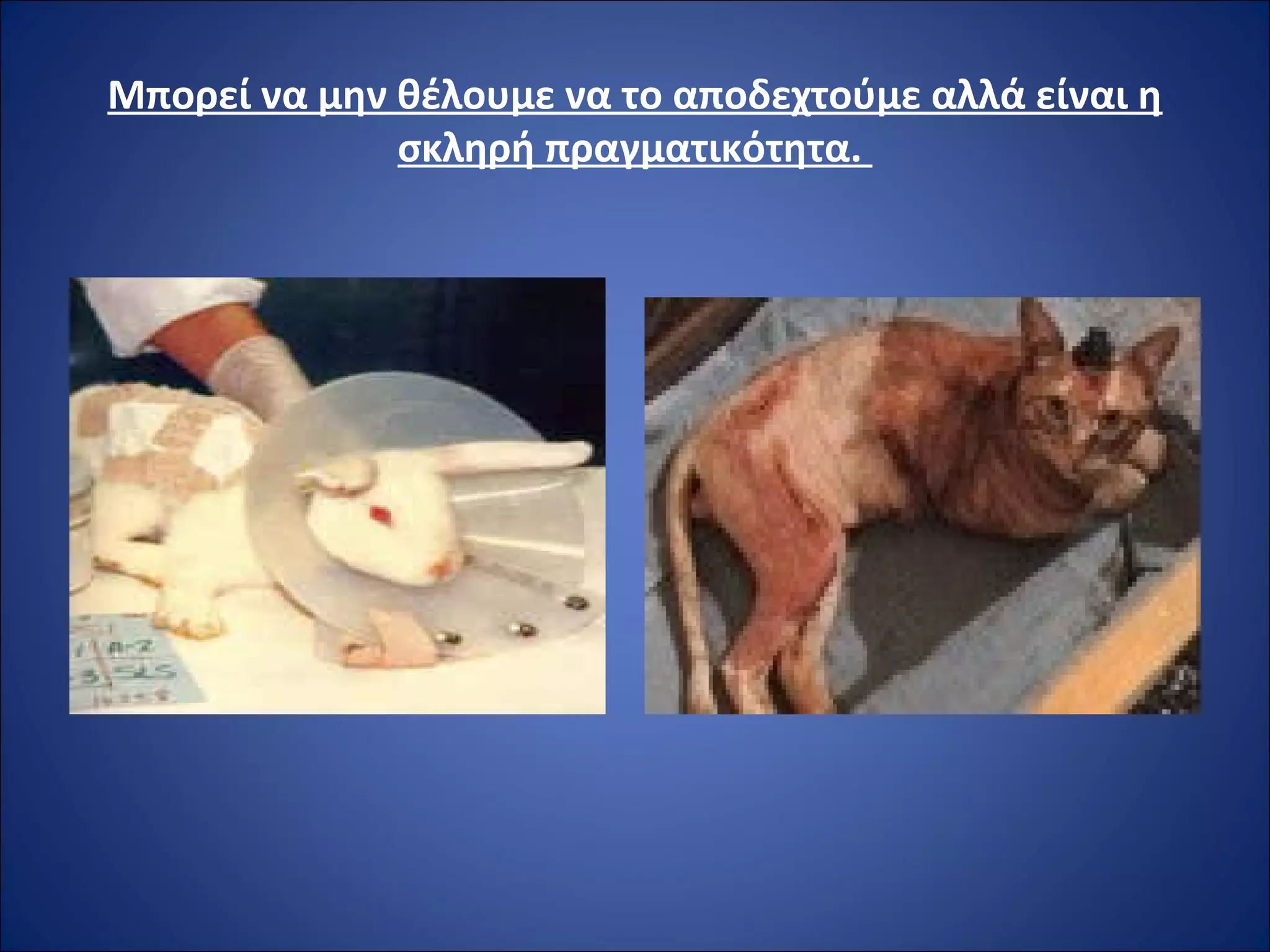 Μπορεί να μην θέλουμε να το αποδεχτούμε αλλά είναι η
σκληρή πραγματικότητα.
 