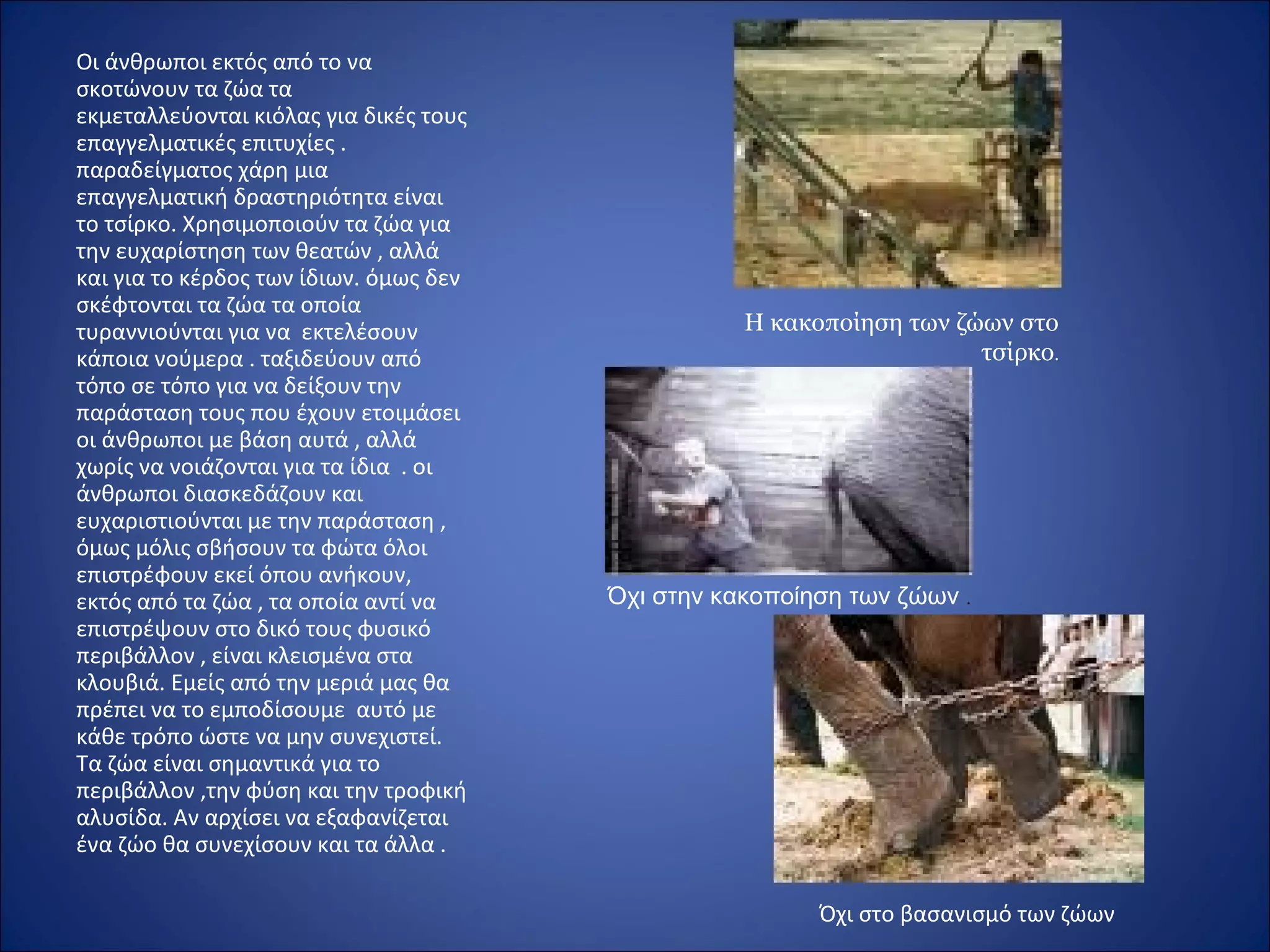 Οι άνθρωποι εκτός από το να
σκοτώνουν τα ζώα τα
εκμεταλλεύονται κιόλας για δικές τους
επαγγελματικές επιτυχίες .
παραδείγματος χάρη μια
επαγγελματική δραστηριότητα είναι
το τσίρκο. Χρησιμοποιούν τα ζώα για
την ευχαρίστηση των θεατών , αλλά
και για το κέρδος των ίδιων. όμως δεν
σκέφτονται τα ζώα τα οποία
τυραννιούνται για να εκτελέσουν
κάποια νούμερα . ταξιδεύουν από
τόπο σε τόπο για να δείξουν την
παράσταση τους που έχουν ετοιμάσει
οι άνθρωποι με βάση αυτά , αλλά
χωρίς να νοιάζονται για τα ίδια . οι
άνθρωποι διασκεδάζουν και
ευχαριστιούνται με την παράσταση ,
όμως μόλις σβήσουν τα φώτα όλοι
επιστρέφουν εκεί όπου ανήκουν,
εκτός από τα ζώα , τα οποία αντί να
επιστρέψουν στο δικό τους φυσικό
περιβάλλον , είναι κλεισμένα στα
κλουβιά. Εμείς από την μεριά μας θα
πρέπει να το εμποδίσουμε αυτό με
κάθε τρόπο ώστε να μην συνεχιστεί.
Τα ζώα είναι σημαντικά για το
περιβάλλον ,την φύση και την τροφική
αλυσίδα. Αν αρχίσει να εξαφανίζεται
ένα ζώο θα συνεχίσουν και τα άλλα .
Η κακοποίηση των ζώων στο
τσίρκο.
Όχι στην κακοποίηση των ζώων .
Όχι στο βασανισμό των ζώων
 