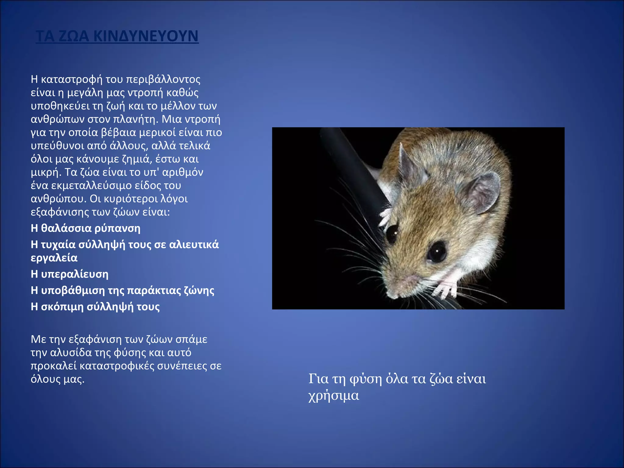 ΤΑ ΖΩΑ ΚΙΝΔΥΝΕΥΟΥΝ
Η καταστροφή του περιβάλλοντος
είναι η μεγάλη μας ντροπή καθώς
υποθηκεύει τη ζωή και το μέλλον των
ανθρώπων στον πλανήτη. Μια ντροπή
για την οποία βέβαια μερικοί είναι πιο
υπεύθυνοι από άλλους, αλλά τελικά
όλοι μας κάνουμε ζημιά, έστω και
μικρή. Τα ζώα είναι το υπ' αριθμόν
ένα εκμεταλλεύσιμο είδος του
ανθρώπου. Οι κυριότεροι λόγοι
εξαφάνισης των ζώων είναι:
Η θαλάσσια ρύπανση
Η τυχαία σύλληψή τους σε αλιευτικά
εργαλεία
Η υπεραλίευση
Η υποβάθμιση της παράκτιας ζώνης
Η σκόπιμη σύλληψή τους
Με την εξαφάνιση των ζώων σπάμε
την αλυσίδα της φύσης και αυτό
προκαλεί καταστροφικές συνέπειες σε
όλους μας. Για τη φύση όλα τα ζώα είναι
χρήσιμα
 