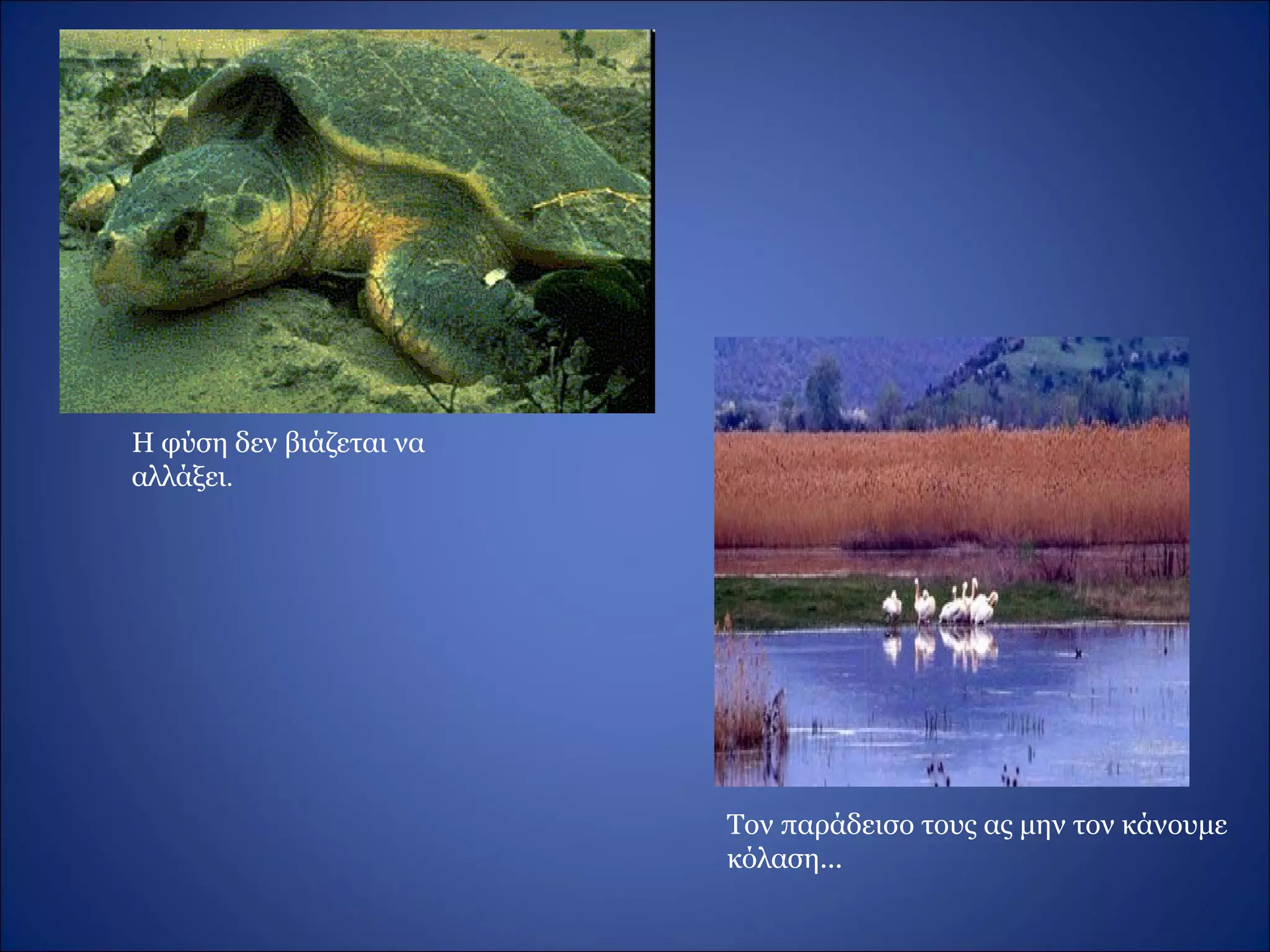 Η φύση δεν βιάζεται να
αλλάξει.
Τον παράδεισο τους ας μην τον κάνουμε
κόλαση...
 