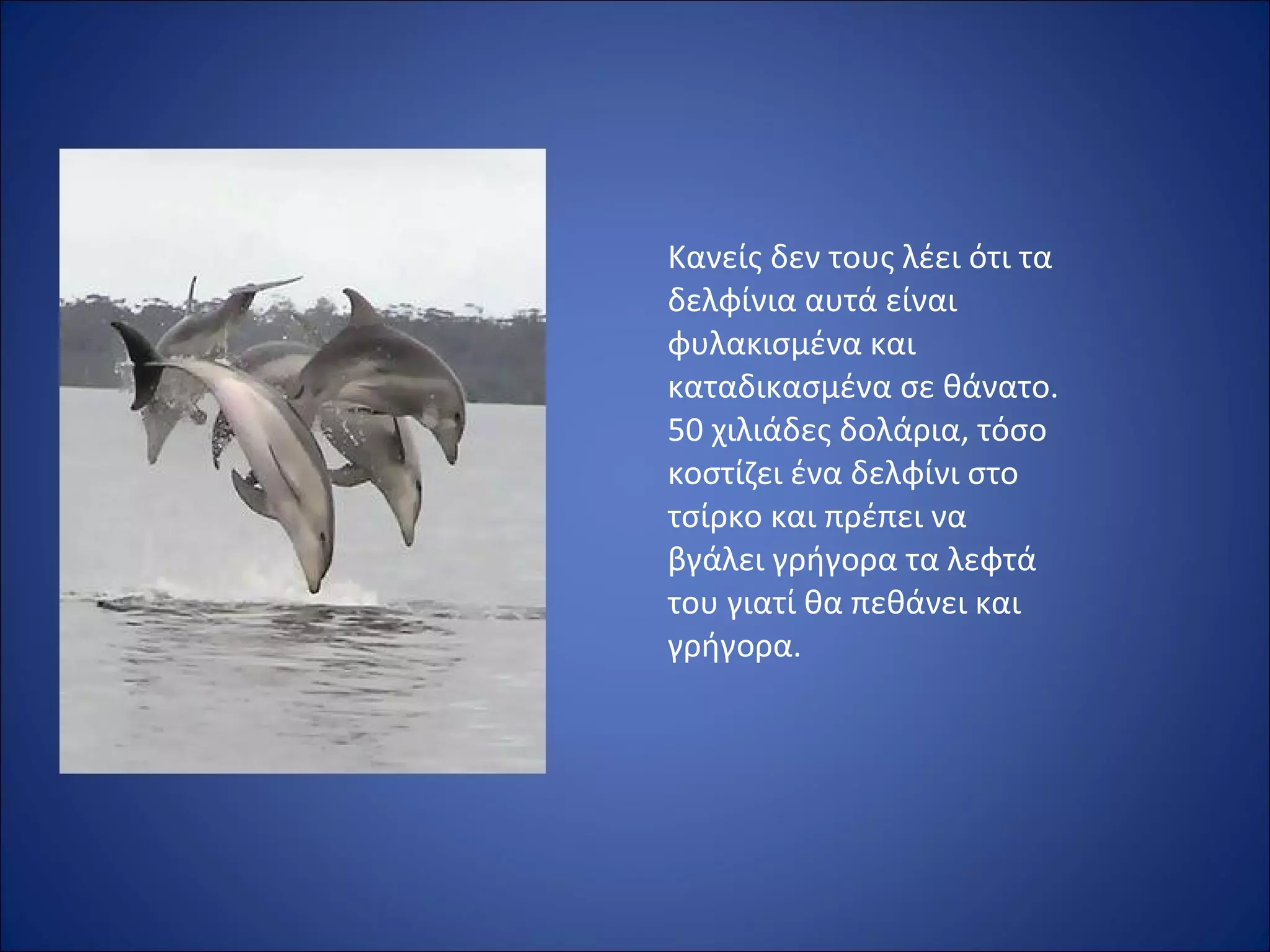 Κανείς δεν τους λέει ότι τα
δελφίνια αυτά είναι
φυλακισμένα και
καταδικασμένα σε θάνατο.
50 χιλιάδες δολάρια, τόσο
κοστίζει ένα δελφίνι στο
τσίρκο και πρέπει να
βγάλει γρήγορα τα λεφτά
του γιατί θα πεθάνει και
γρήγορα.
 