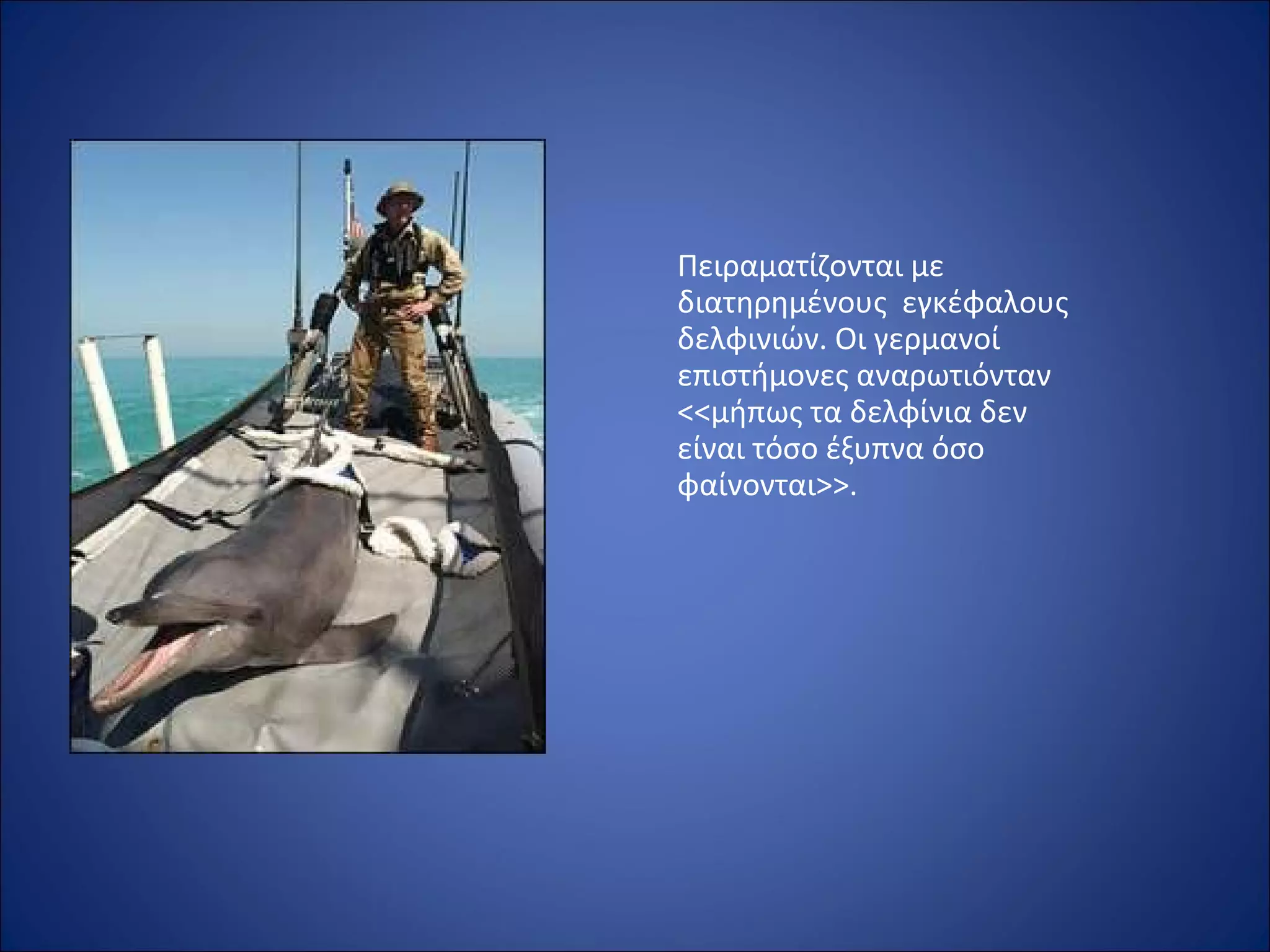 Πειραματίζονται με
διατηρημένους εγκέφαλους
δελφινιών. Οι γερμανοί
επιστήμονες αναρωτιόνταν
<<μήπως τα δελφίνια δεν
είναι τόσο έξυπνα όσο
φαίνονται>>.
 
 