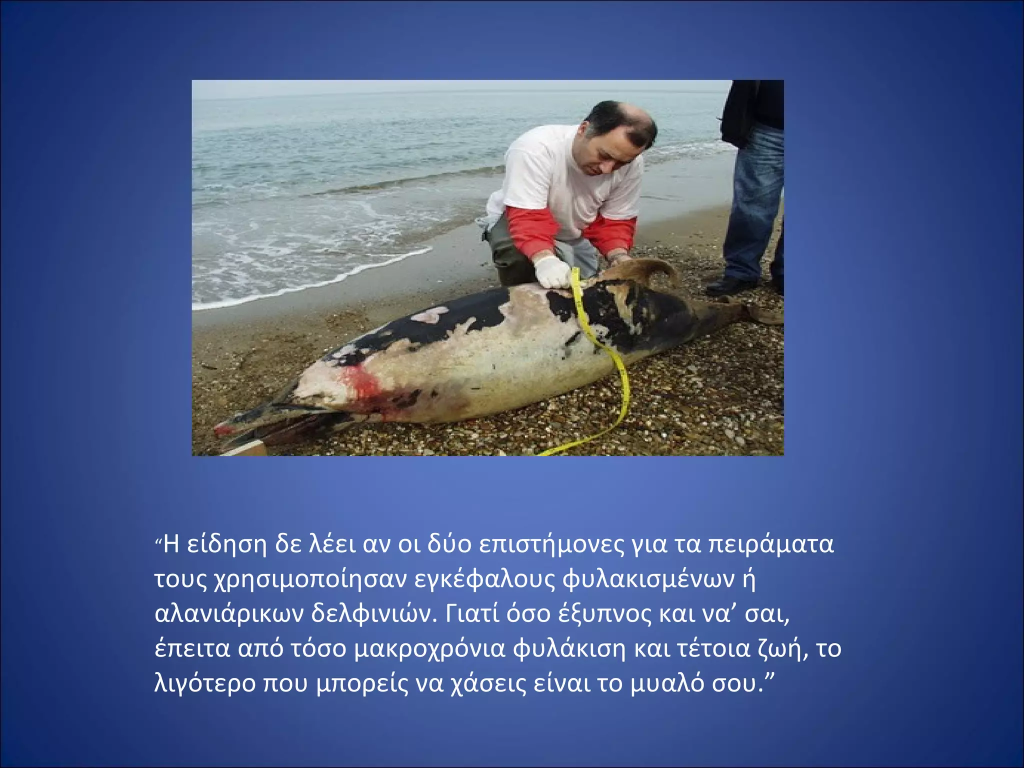 “Η είδηση δε λέει αν οι δύο επιστήμονες για τα πειράματα
τους χρησιμοποίησαν εγκέφαλους φυλακισμένων ή
αλανιάρικων δελφινιών. Γιατί όσο έξυπνος και να’ σαι,
έπειτα από τόσο μακροχρόνια φυλάκιση και τέτοια ζωή, το
λιγότερο που μπορείς να χάσεις είναι το μυαλό σου.”
 