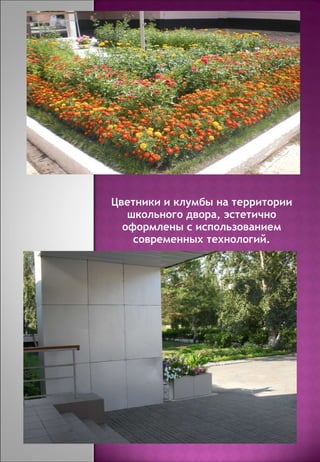 Цветники и клумбы на территории школьного двора, эстетично оформлены с использованием современных технологий. 