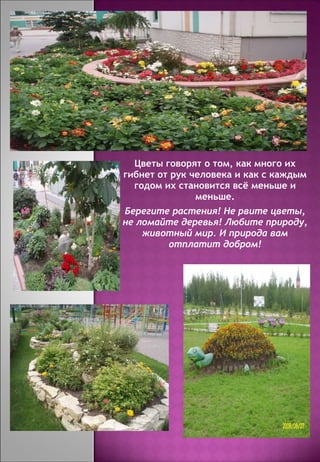Цветы говорят о том, как много их гибнет от рук человека и как с каждым годом их становится всё меньше и меньше. Берегите растения! Не рвите цветы, не ломайте деревья! Любите природу, животный мир. И природа вам отплатит добром! 