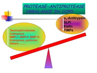 Neutrophil elastase Cathepsins MMP-1, MMP-9, MMP12 Granzymes, perforins Others…….. PROTEASE-ANTIPROTEASE IMBALANCE IN COPD  1 -Antitrypsin SLPI Elafin TIMPs 