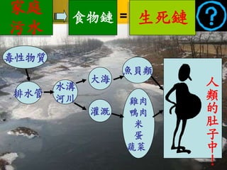 家庭
        食物鏈 =     生死鏈
污水
毒性物質
                 魚貝類
            大海          人
       水溝
排水管
       河川        雞肉
                        類
            灌溉   鴨肉     的
                  米     肚
                  蛋     子
                 蔬菜     中
                        ！
 