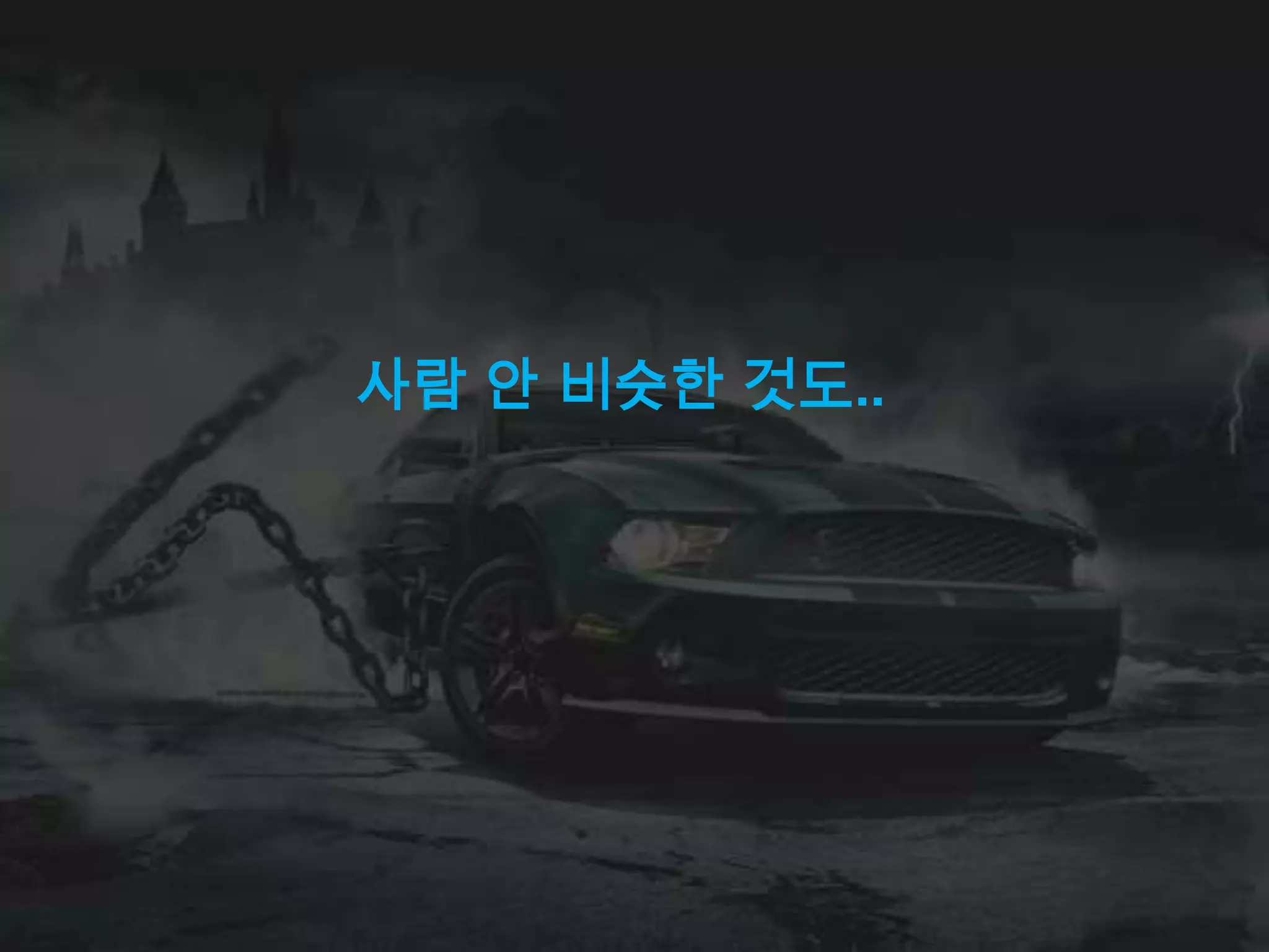 사람 안 비슷한 것도..
 