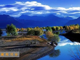 迷 人 的 西 藏 藏 南 河  谷 