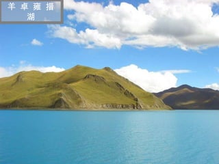 迷 人 的 西 藏 羊 卓 雍 措 湖 