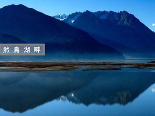 迷 人 的 西 藏 然 烏 湖 畔 