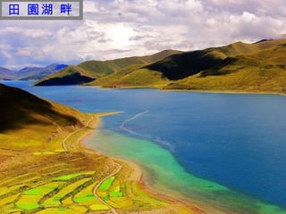 迷 人 的 西 藏 田 園湖 畔 