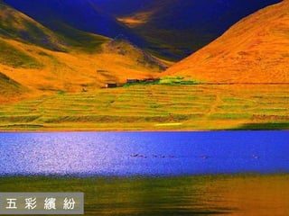 迷 人 的 西 藏 五 彩 繽 紛 