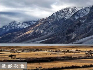 迷 人 的 西 藏 藏 鄉 秋 色 
