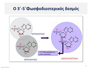 Ο 3΄-5΄Φωςφοδιεςτερικόσ δεςμόσ




                                                 4
Θάνοσ Καψάλθσ
 