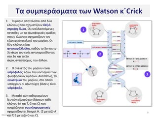 Τα ςυμπεράςματα των Watson κ΄Crick
   1. Σο μόριο αποτελείται από δφο
    κλϊνουσ που ςχθματίηουν δεξιό-
    ςτροφθ ζλικα. Οι εναλλαςςόμενεσ
    πεντόηεσ με τισ φωςφορικζσ ομάδεσ
    ςτουσ κλϊνουσ ςχθματίηουν τον
    εξωτερικό ςκελετό του μορίου. Οι
    δφο κλϊνοι είναι
    αντιπαράλλθλοι, κακϊσ το 5ο και το
    3ο άκρο του ενόσ αντιπαρατίκενται
    ςτο 3ο και το 5ο
    άκρο, αντιςτοίχωσ, του άλλου.

   2. Ο ςκελετόσ του μορίου είναι
    υδρόφιλοσ, λόγω του ιοντιςμοφ των
    φωςφορικϊν ομάδων. Αντικζτωσ, το
    εςωτερικό του μορίου, ςτο οποίο
    υπάρχουν οι αηωτοφχεσ βάςεισ είναι
    υδρόφοβο.

    3. Μεταξφ των κακοριςμζνων
     ηευγϊν αηωτοφχων βάςεων κάκε
     κλϊνου (Α και Σ, G και C) που
     ονομάηονται ςυμπλθρωματικζσ
     ςχθματίηονται δεςμοί Η. (2 μεταξφ Α       9
Θάνοσκαι Σ, 3 μεταξφ G και C).
      Καψάλθσ
 