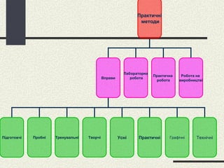 Практичні методи Вправи Лабораторна робота Практична  робота Підготовчі Пробні Тренувальні Творчі Робота на  виробництві Усні Практичні Графічні Технічні 