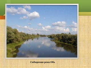 Сибирская река Обь
                     10
 