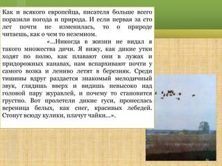 Как и всякого европейца, писателя больше всего
поразили погода и природа. И если первая за сто
лет почти не изменилась, то о природе
читаешь, как о чем то неземном.
               «...Никогда в жизни не видал я
такого множества дичи. Я вижу, как дикие утки
ходят по полю, как плавают они в лужах и
придорожных канавах, нам вспархивают почти у
самого возка и лениво летят в березняк. Среди
тишины вдруг раздается знакомый мелодичный
звук, глядишь вверх и видишь невысоко над
головой пару журавлей, и почему то становится
грустно. Вот пролетели дикие гуси, пронеслась
вереница белых, как снег, красивых лебедей.
Стонут всюду кулики, плачут чайки...».




                                                  11
 