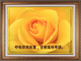 呼吸即是財富，活著就有希望。
 