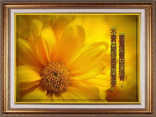 不
要要
只重
期視
待善
美因
果的
的培
享育
受，
。
 