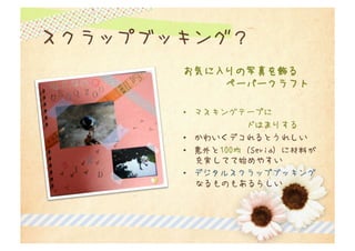 • 

• 
• 

• 
 