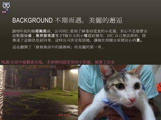 BACKGROUND 不期而遇，美麗的邂逅
   2010年底的梅姬颱風夜，公司同仁看到了淋著雤覓食的小花貓，於心不忍地帶去
   給獸醫檢查，竟然發現這隻才7個月大的小喵已經懷孕，同仁自己無法照料，便
   傳達了這個訊息給同事，這時公司決定收留她，讓她住到辦公室裡安心待產。
   這也翻開了「搶救風雤中的貓媽咪」的美麗的第一章…


10.20 在雤中被翻食垃圾，全身淋的濕答答的小花貓，被救了出來
 