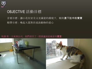 OBJECTIVE 活動目標
  首要目標：讓小花在安全又充滿愛的環境下，順利產下肚中的寶寶
  順帶目標：喚起大眾對於流浪動物的愛心




10.25 第一天來到公司，我們清空了一間會議室給她當待產室
 
