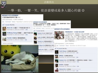 活動情況


一舉一動，一顰一笑，從浪貓變成最多人關心的貓 
 
