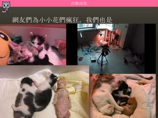 活動成效



網友們為小小花們瘋狂，我們也是
 