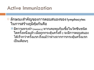 Active Immunization  ลักษณะสำคัญของการตอบสนองของ  lymphocytes  ในการสร้างภูมิคุ้มกันคือ มีความทรงจำ  (memory)  หากเคยพบกับเชื้อในวัคซีนชนิดใดครั้งหนึ่งแล้ว เมื่อถูกกระตุ้นครั้งที่  2  จะมีการตอบสนองได้เร็วกว่าครั้งแรก ถึงแม้ว่าห่างจากการกระตุ้นครั้งแรกเป็นเดือนๆ 
