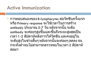 Active Immunization  การตอบสนองของ  B-lymphocytes  ต่อวัคซีนครั้งแรกหรือ  Primary response  จะใช้เวลาในการสร้าง  antibody  ประมาณ  5-7  วัน หลังจากนั้น ระดับ  antibody  จะค่อยๆสูงขึ้นและขึ้นถึงระยะสูงสุดเป็นเวลา  1-2   สัปดาห์หลังการให้วัคซีน และคงอยู่ในระดับสูงในช่วงสั้นๆ หลังจากนั้นจะค่อยๆ ลดลง จนกระทั่งต่ำจนไม่สามารถตรวจพบในเวลา  2  สัปดาห์ต่อมา 