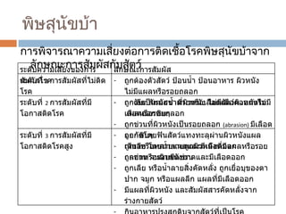 พิษสุนัขบ้า การพิจารณาความเสี่ยงต่อการติดเชื้อโรคพิษสุนัขบ้าจากลักษณะการสัมผัสกับสัตว์ ระดับความเสี่ยงของการสัมผัสโรค ลักษณะการสัมผัส ระดับที่  1  การสัมผัสที่ไม่ติดโรค ถูกต้องตัวสัตว์ ป้อนน้ำ ป้อนอาหาร ผิวหนังไม่มีแผลหรือรอยถลอก ถูกเลีย สัมผัสน้ำลายหรือเลือดสัตว์ผิวหนังไม่มีแผลหรือรอยถลอก ระดับที่  2  การสัมผัสที่มีโอกาสติดโรค ถูกงับเป็นรอยช้ำที่ผิวหนัง ไม่มีเลือดออกหรือเลือดออกซิบๆ ถูกข่วนที่ผิวหนังเป็นรอยถลอก  (abrasion)  มีเลือดออกซิบๆ ถูกเลีย โดยน้ำลายถูกผิวหนังที่มีแผลหรือรอยถลอกหรือรอยขีดข่วน ระดับที่  3  การสัมผัสที่มีโอกาสติดโรคสูง ถูกกัดโดยฟันสัตว์แทงทะลุผ่านผิวหนังแผลเดียวหรือหลายแผลและมีเลือดออก ถูกข่วน จนผิวหนังขาดและมีเลือดออก ถูกเลีย หรือน้ำลายสิ่งคัดหลั่ง ถูกเยื่อบุของตาปาก จมูก หรือแผลลึก แผลที่มีเลือดออก มีแผลที่ผิวหนัง และสัมผัสสารคัดหลั่งจากร่างกายสัตว์  กินอาหารปรุงสุกดิบจากสัตว์ที่เป็นโรค 