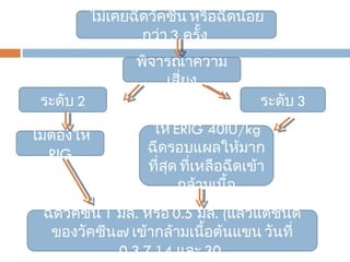 ไม่เคยฉีดวัคซีน หรือฉีดน้อยกว่า  3  ครั้ง  พิจารณาความเสี่ยง ระดับ  3 ระดับ  2 ไม้ต้องให้  RIG ให้  ERIG 40IU/kg  ฉีดรอบแผลให้มากที่สุด ที่เหลือฉีดเข้ากล้ามเนื้อ ฉีดวัคซีน  1  มล .  หรือ  0.5  มล . ( แล้วแต่ชนิดของวัคซีน๗ เข้ากล้ามเนื้อต้นแขน วันที่  0,3,7,14  และ  30  