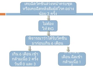 เคยฉีดวัคซีนล่วงหน้าครบชุดหรือเคยฉีดหลังสัมผัสโรค อย่างน้อย  3  ครั้ง  ไม่ต้องให้  RIG พิจารณาว่าได้รับวัคซีนมาก่อนเกิน  6  เดือน ภายใน  6  เดือน ฉีดเข้ากล้ามเนื้อ  1  ครั้ง  เกิน  6  เดือน เข้ากล้ามเนื้อ  2  ครั้ง วันที่  0  และ  3 