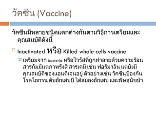 วัคซีน  (Vaccine) วัคซีนมีหลายชนิดแตกต่างกันตามวิธีการเตรียมและคุณสมบัติดังนี้ Inactivated  หรือ  Killed whole cells vaccine  เตรียมจาก  bacteria  หรือไวรัสที่ถูกทำลายด้วยความร้อน สารกัมมันตภาพรังสี สารเคมี เช่น ฟอร์มาลิน แต่ยังมีคุณสมบัติของแอนติเจนอยู่ ตัวอย่างเช่น วัคซีนป้องกันโรคไอกรน ตับอักเสบบี ได้สมองอักเสบ และพิษสุนัขบ้า 